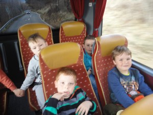 bus