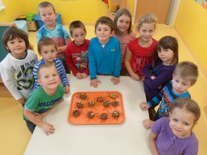 SAM_0494