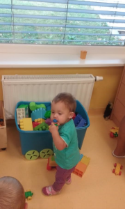 žana